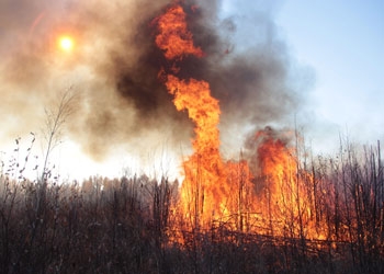 Пожарные «Амурской авиабазы» спасли от огня три поселка в Зейском районе