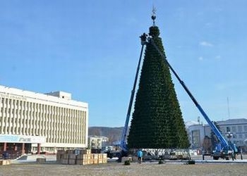 В Южно-Сахалинске установили главную елку города