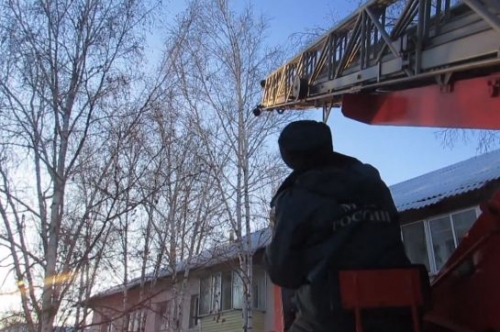 Амурские пожарные отработали курьезный вызов: с дерева сняли «самолетик» (видео)