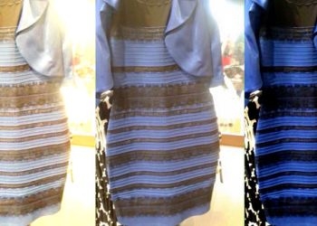 В Интернете амурчане спорят о платье, которое «меняет» цвета