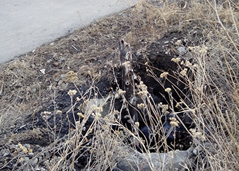 Жители Завитинска боятся, что дети провалятся в яму возле школы