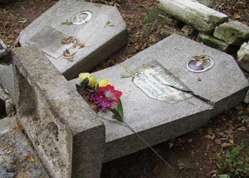 В Зее трое подростков разгромили кладбище