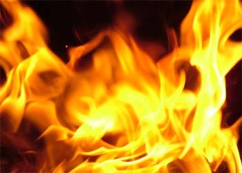 В Амурской области в пожаре погибли два ягненка 