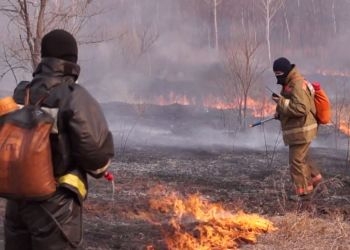 В Приамурье за сутки потушили 22 пала