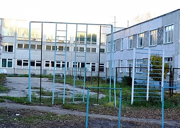 В Приморье «Шведская стенка», установленная в школьном дворе, рухнула на ученицу