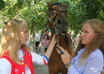 В Благовещенске заработал детский конно-спортивный лагерь