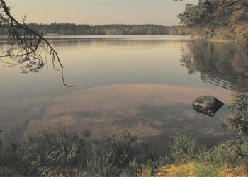 В Райчихинске в водохранилище утонул 17-летний молодой человек