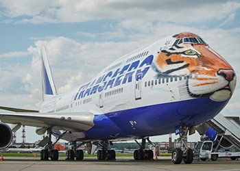 На российских авиалиниях начнет летать самолет, раскрашенный «под тигра»