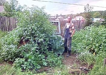 Житель Зеи посадил огород по немецкой методике