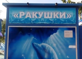 Директор белогорского парка аттракционов извинился перед родителями пострадавшей девочки