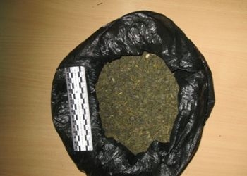 Житель Завитинска хранил три с половиной килограмма наркотиков