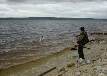 В пограничных реках Амур и Уссури вводится запрет на рыбалку