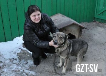Спасенный свободненскими журналистами пес нашел новый дом
