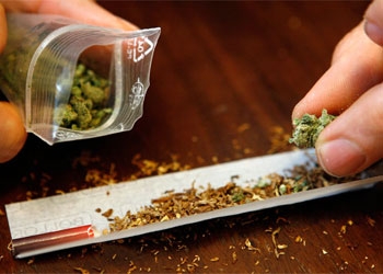Полицейские нашли у жителя Ивановского района мешок марихуаны