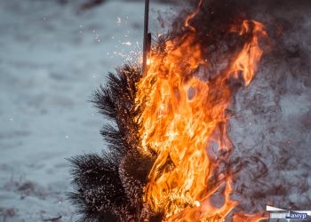 В Благовещенске сотрудники МЧС взорвали курицу и подожгли елку