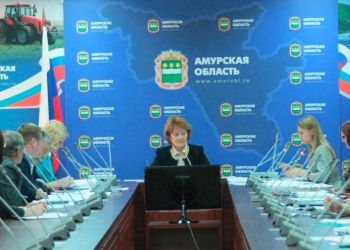 Малый бизнес Приамурья в этом году получил субсидий на 107 миллионов рублей