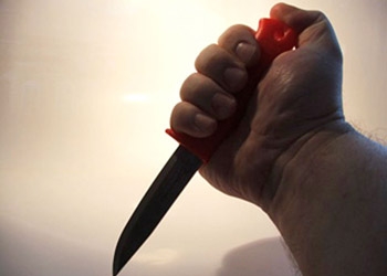 В Бурейском районе хозяин дома ударил ножом назойливого гостя