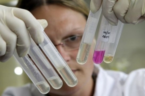 В Амурской области зарегистрированы два случая свиного гриппа