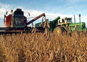 Амурская область получит почти 135 миллионов на развитие растениеводства