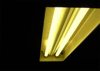 В Белогорске бактерицидные лампы установят в коридорах поликлиник и в школьных автобусах