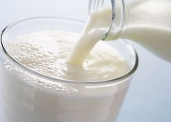 В молоке двух амурских фирм обнаружены нитрофураны