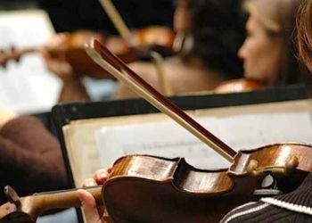 В Приамурье выступят юные скрипачи из Китая