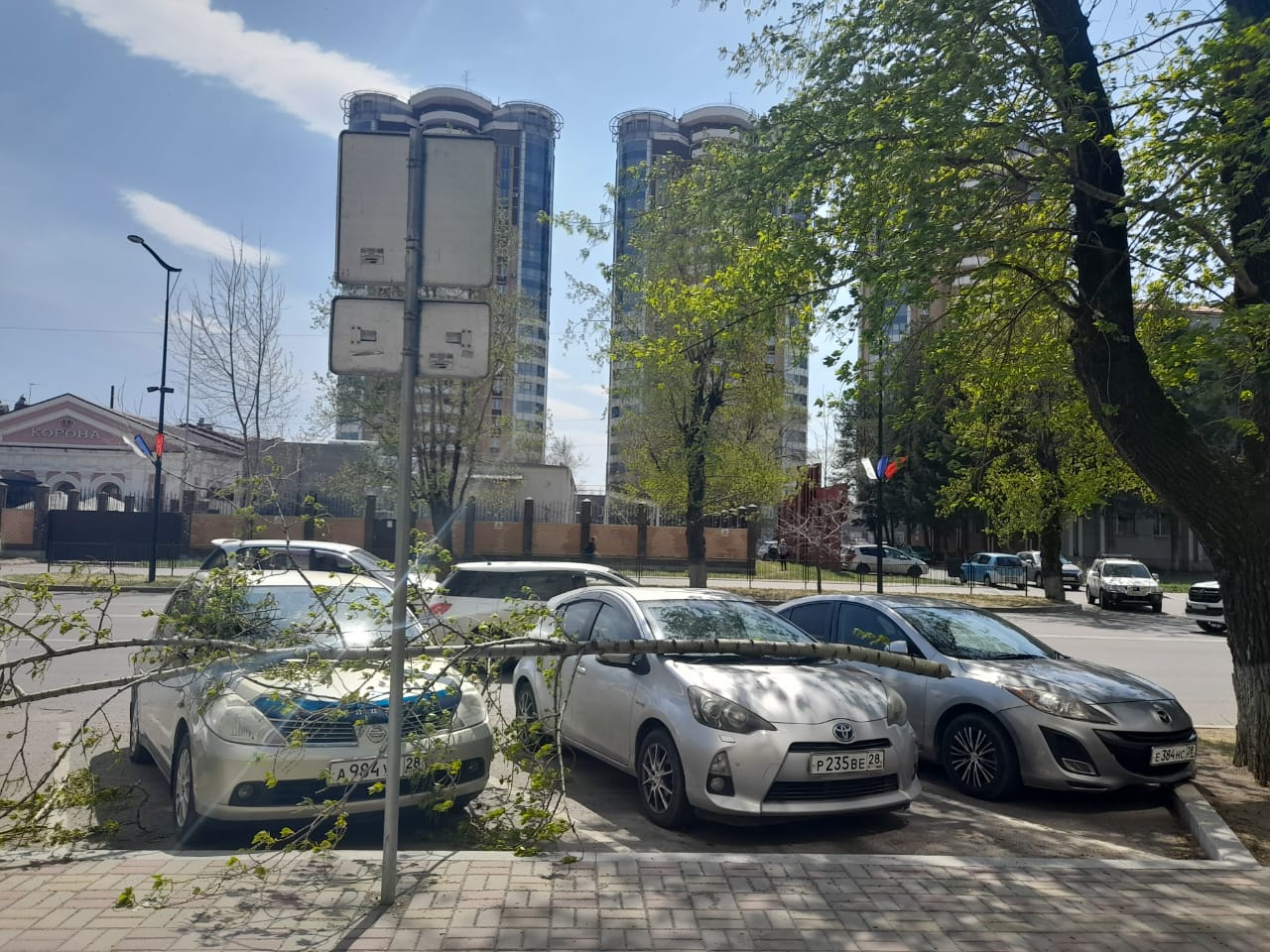 Шквалистый ветер в Благовещенске повалил деревья, забор и праздничные  конструкции