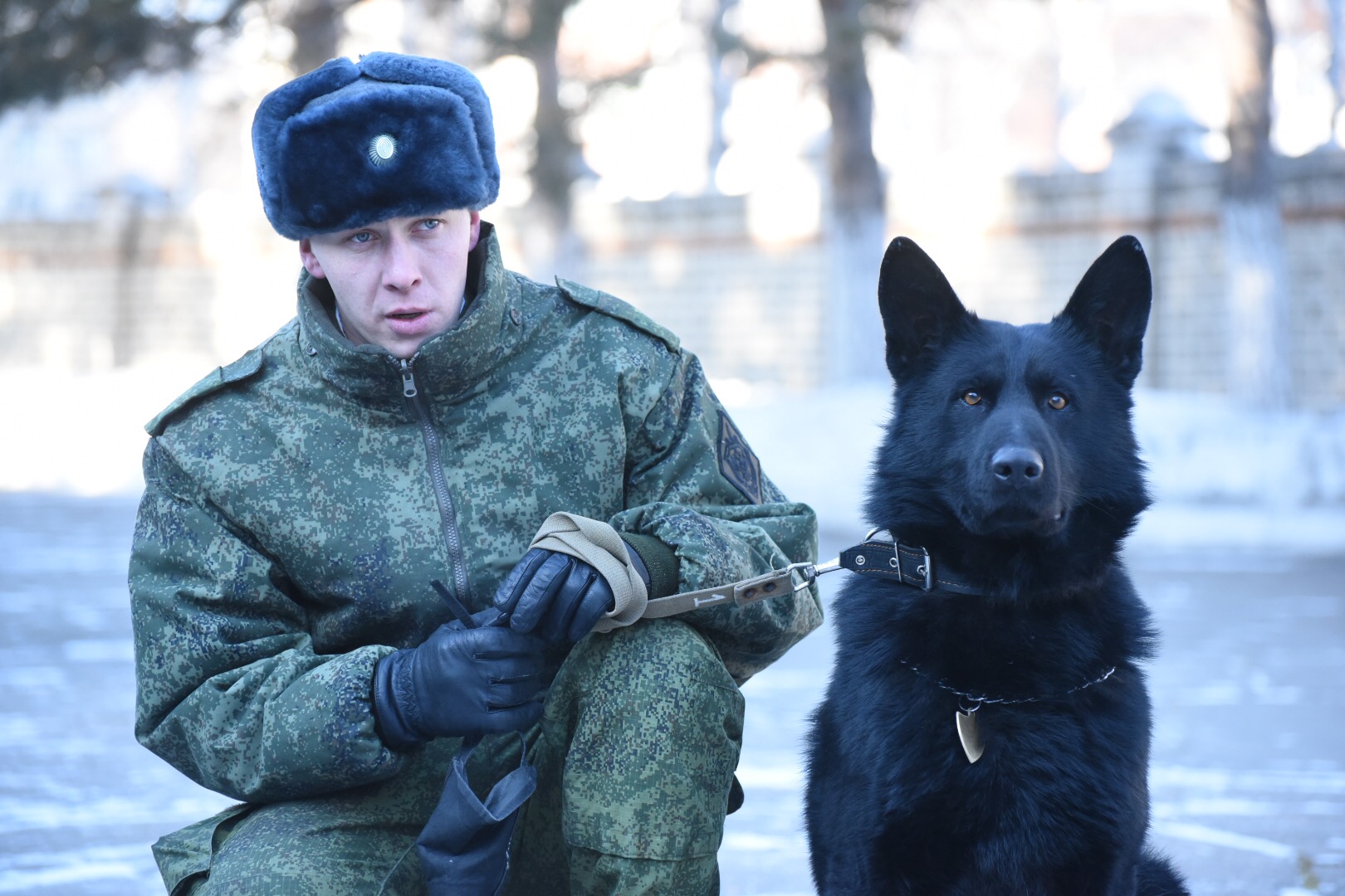 В Благовещенске наградили пограничника и собаку, которые задержали  нарушителя