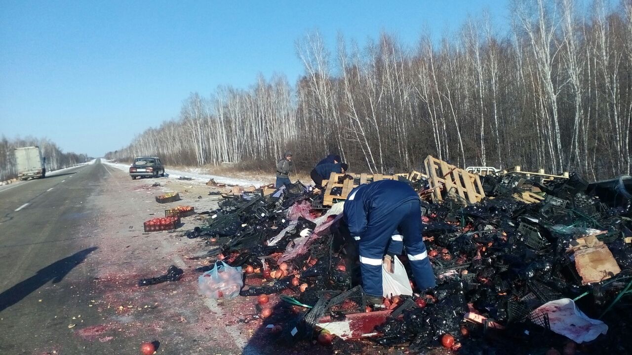 В Шимановском районе дорогу усыпало фруктами