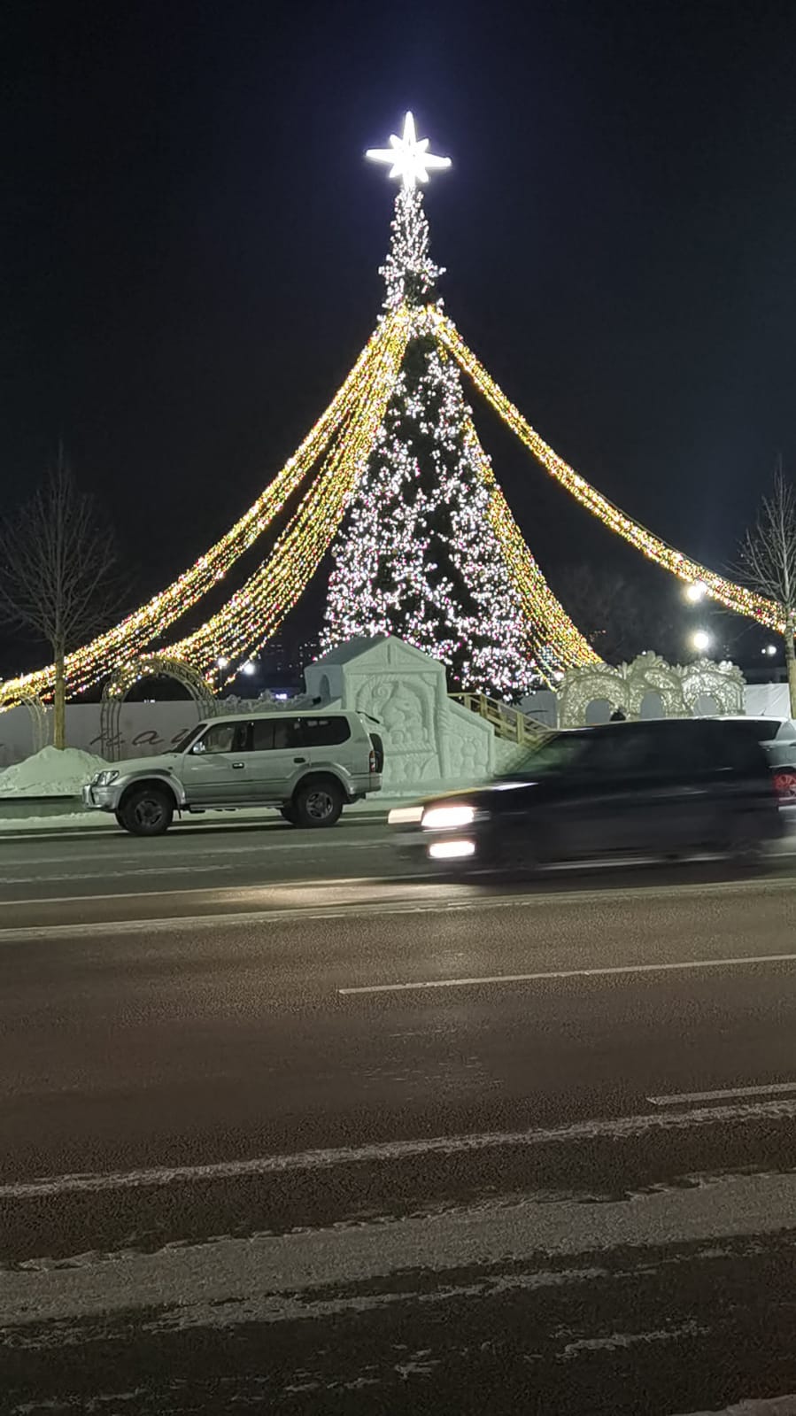 В Благовещенске «зажгли» новую главную елку города