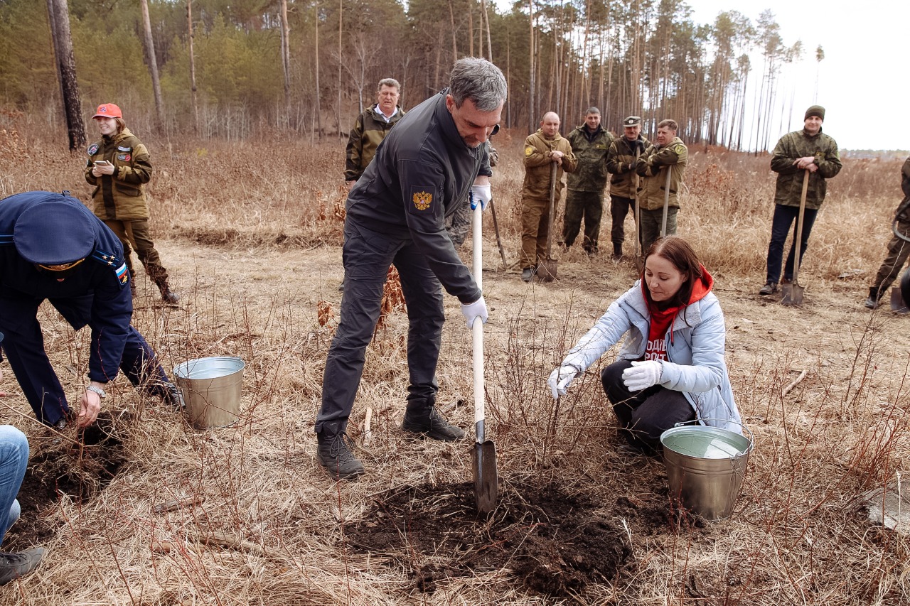 Активисты Народного фронта высадили деревья в Верненском сосновом бору