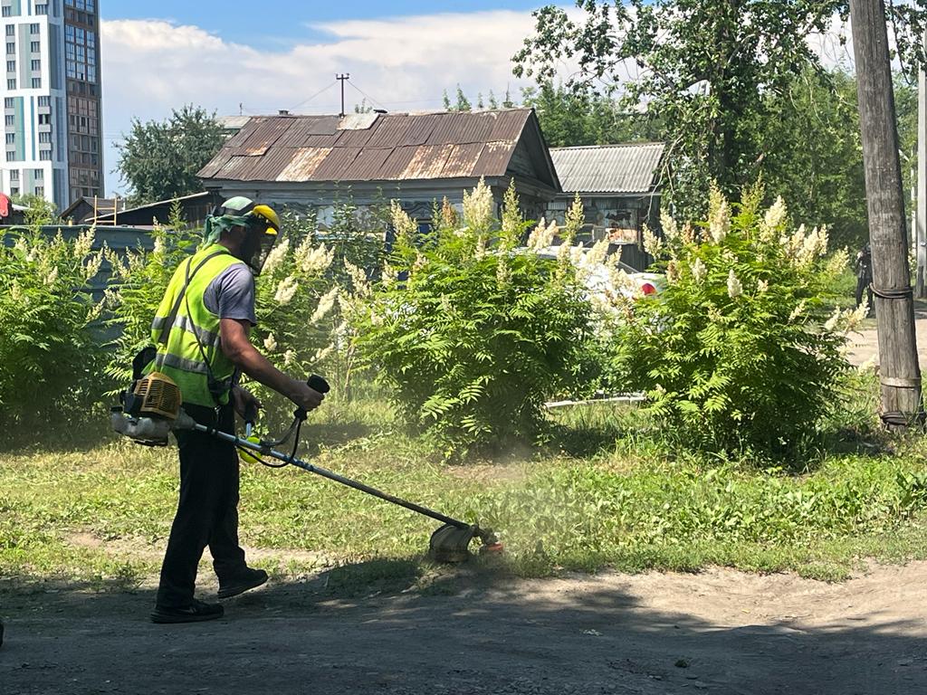 В Благовещенске продолжается покос травы