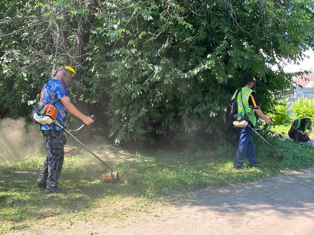 В Благовещенске продолжается покос травы