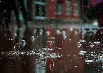 Ливневые дожди в пятницу пройдут в Амурской области