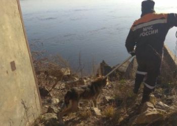 Благовещенские спасатели вытащили из-под бетонной плиты собаку