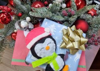 Сотрудники Роспотребнадзора передадут подарки от Деда Мороза двум юным амурчанкам