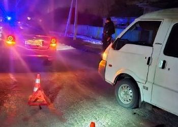 На дороге в Приамурье погиб пешеход