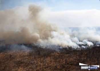 Больше 20 природных пожаров зафиксировали в Приамурье с начала марта