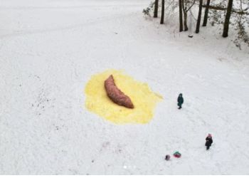 В Петербурге художник создал инсталляцию в виде гигантской фекалии 