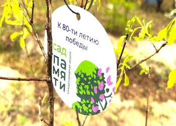 Около 300 саженцев высадили амурчане в рамках акции «Сад Памяти»