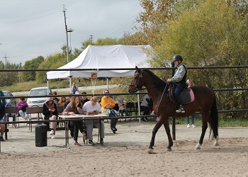 В Благовещенске прошли соревнования по конному спорту среди детей с ОВЗ