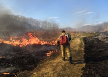 Природный пожар в Амурской области охватил 10 тысяч гектаров