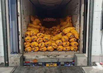 В Приамурье отмечают увеличение поставок овощей и фруктов из Китая