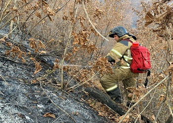 В районе Белогорья пожарные тушат пал