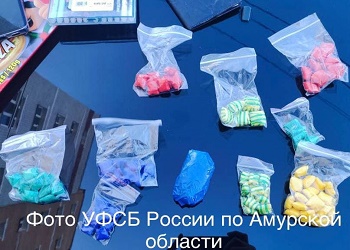 В Приамурье сотрудники ФСБ пресекли деятельность наркогруппировок