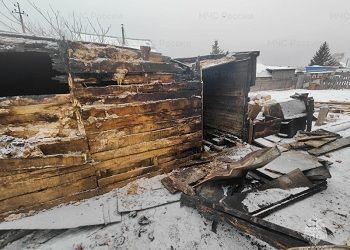 Поросята погибли в пожаре в Шимановске
