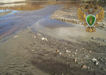Золотодобытчики Приамурья загрязнили реку