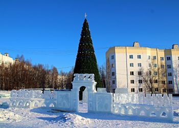 Главную елку Тынды украсят в цветах российского триколора