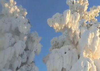 Коммунальная авария создала в Приамурье «снежную фотозону»