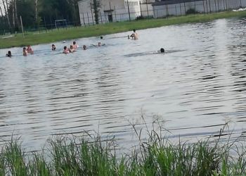 В Новоалександровке подростки обнаружили в пруду труп